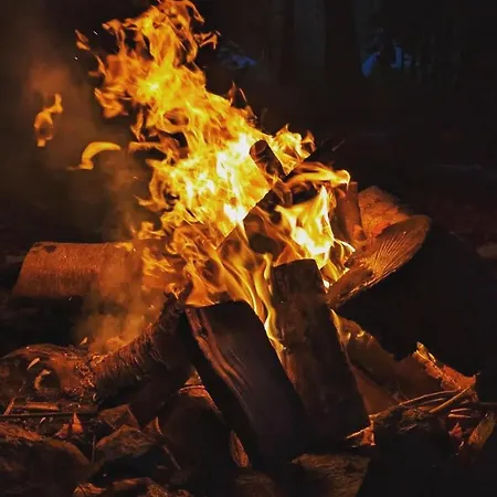 Holzhaus Unter Buchen *