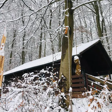 Holzhaus Unter Buchen *