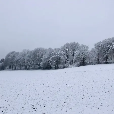 Holzhaus Unter Buchen * Landolfshausen