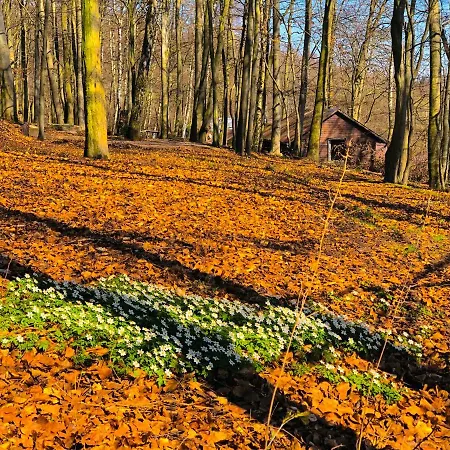 Holzhaus Unter Buchen Landolfshausen