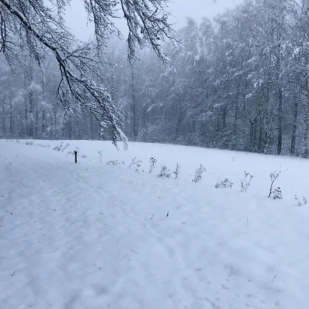 Holzhaus Unter Buchen Camping Landolfshausen