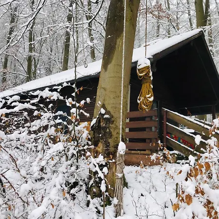 Holzhaus Unter Buchen *